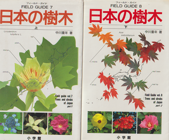 日本の樹木 上・下 2冊セット