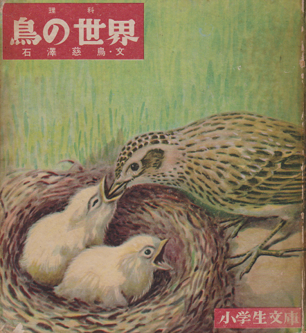 鳥の世界