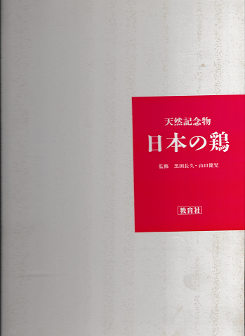 天然記念物　日本の鶏