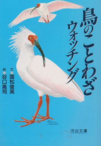 鳥のことわざウォッチング