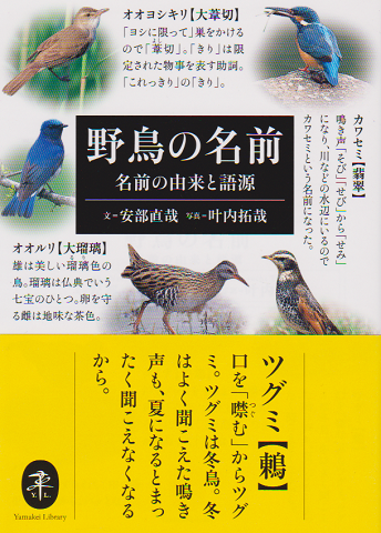 野鳥の名前 : 名前の由来と語源