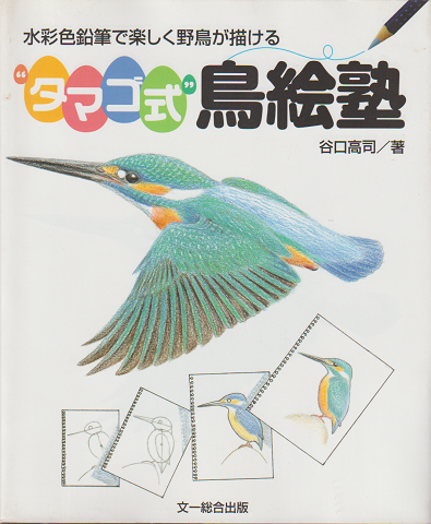 水彩色鉛筆で楽しく野鳥が描ける