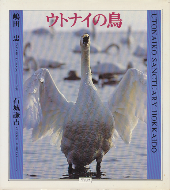 ウトナイの鳥