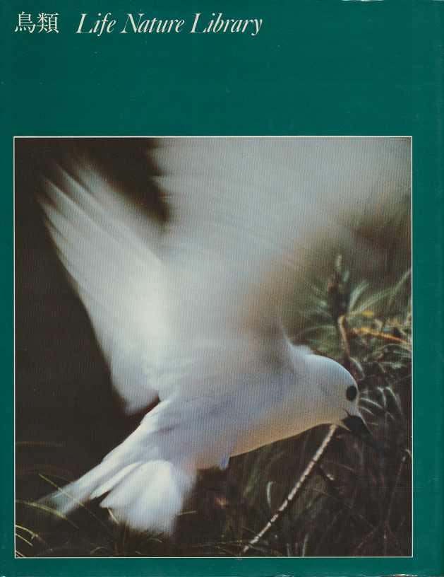 鳥類　Ｌife　Ｎature　Ｌibrary
