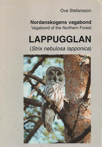Lappugglan (Strix nebulosa lapponica)