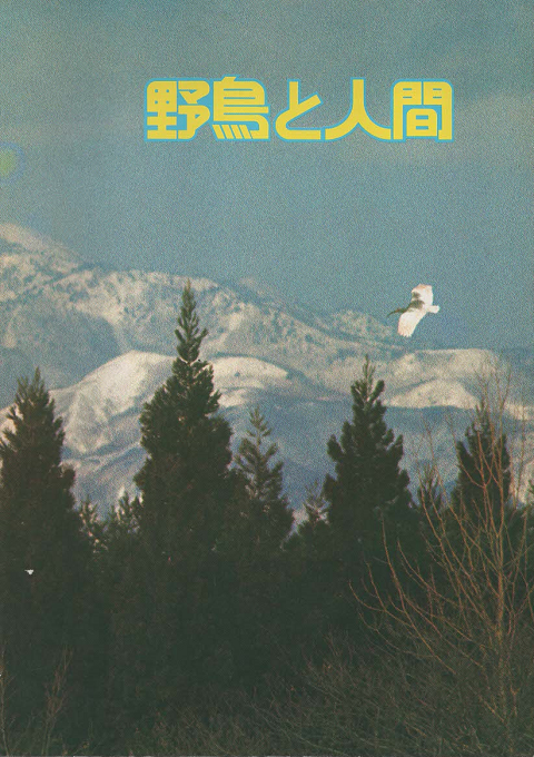 野鳥と人間