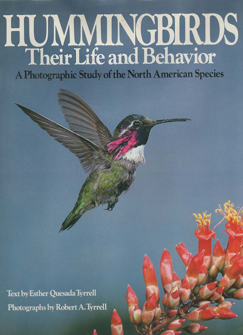 Hummingbirds Their Life and Behavior