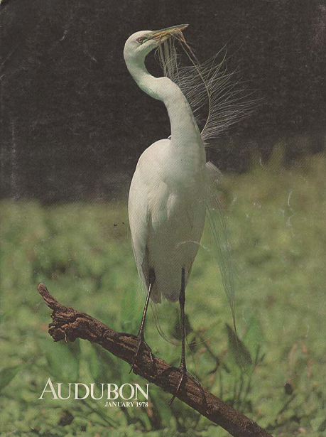 Audubon