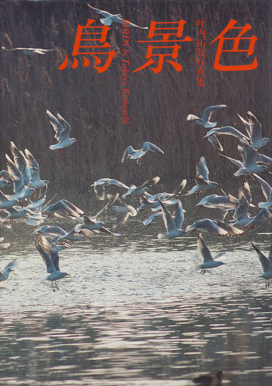 鳥景色 : 叶内拓哉写真集