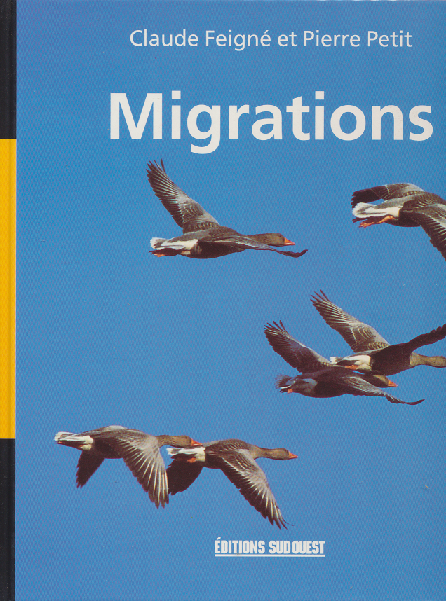 Migrations