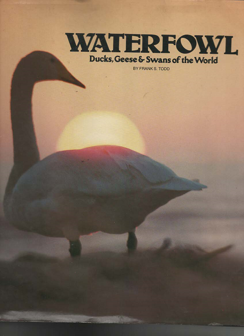 Waterfowl