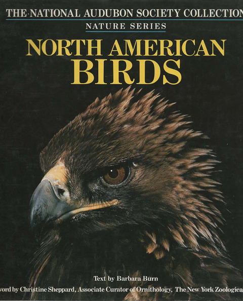 North American Birds