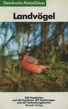 Landvogel