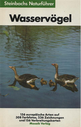 Wasservogel
