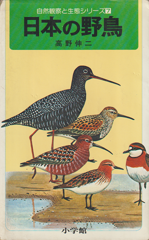 日本の野鳥 : 野外での見分け方