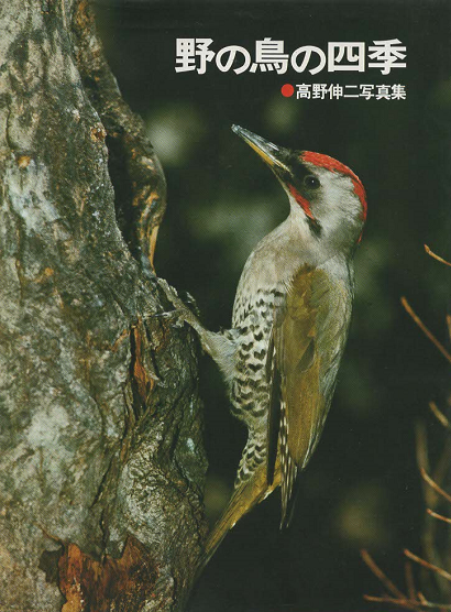 野の鳥の四季 : 高野伸二写真集
