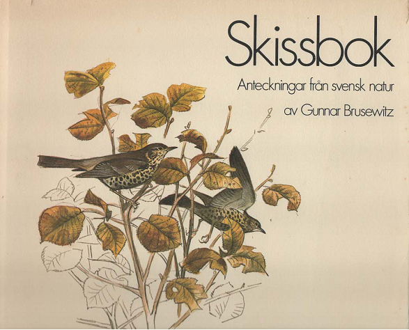 Skissbok