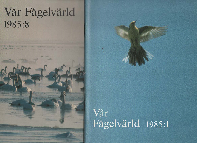 Var Fagelvarld 1985:1~1985:8 (8冊セット)