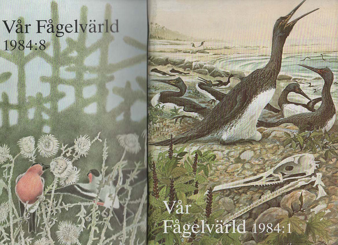 Var Fagelvarld 1984:1~1984:8 (8冊セット)