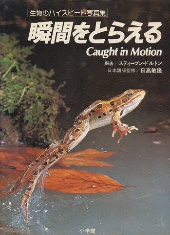 瞬間をとらえる : 生物のハイスピード写真集