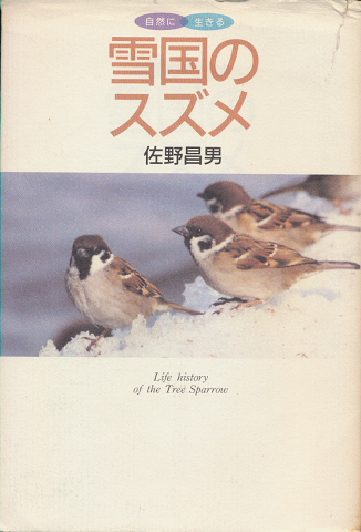 雪国のスズメ : その生活と人とのかかわり
