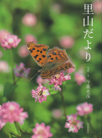 里山だより
