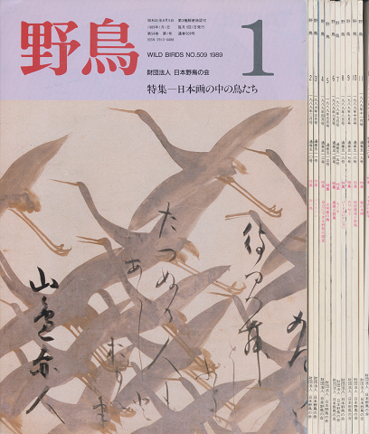 野鳥 1993年1月-12月(全11冊セット)