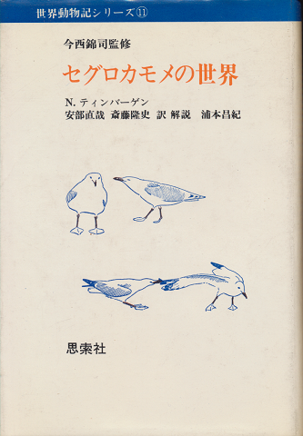 セグロカモメの世界