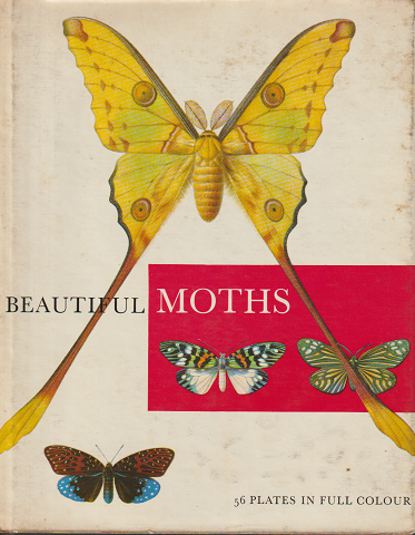 BEAUTIFUL MOTHS