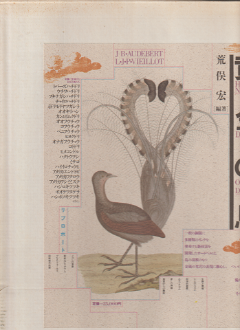 黄金の鳥