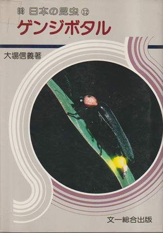 日本の昆虫⑫ ゲンジボタル