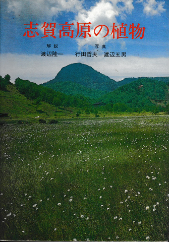 志賀高原の植物