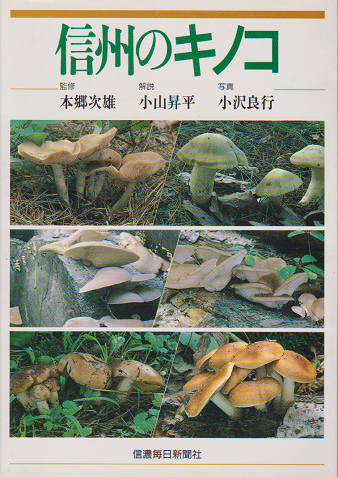 信州のキノコ