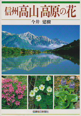 信州高山高原の花
