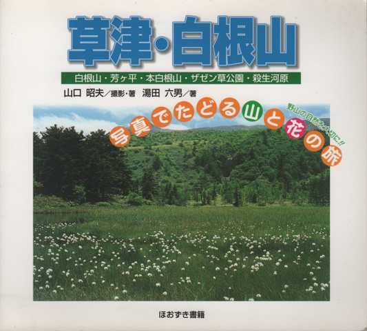 草津・白根山 : 白根山・芳ヶ平・本白根山・ザゼン草公園・殺生河原