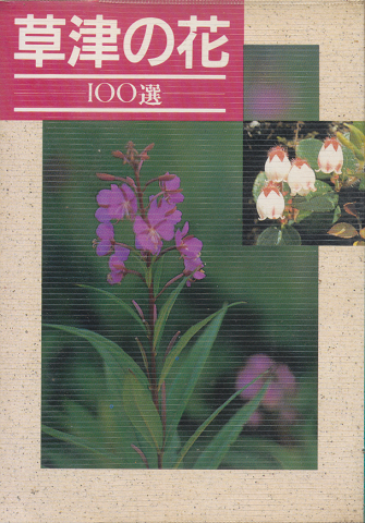 草津の花100選