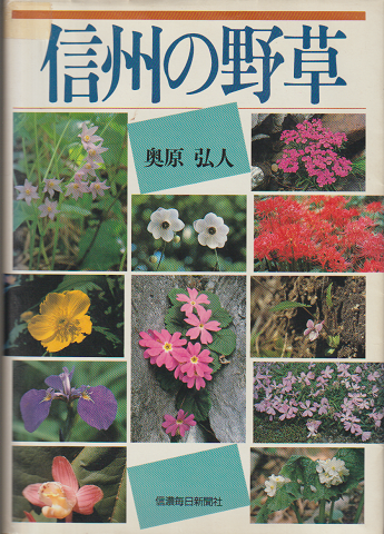 信州の野草