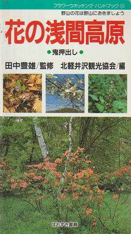 花の浅間高原　鬼押出し