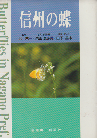 信州の蝶