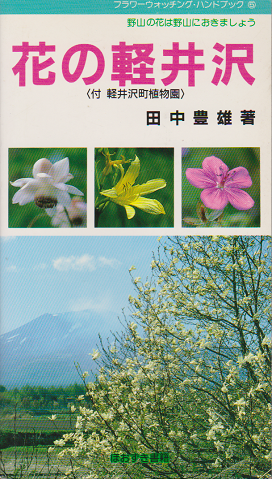 花の軽井沢