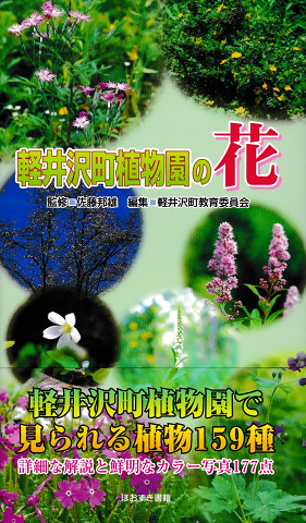 軽井沢町植物園の花