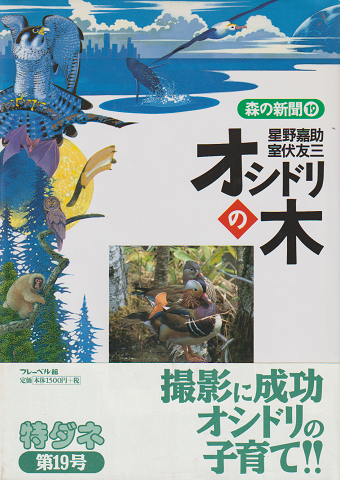 オシドリの木