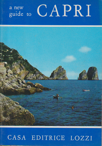 a new guide to CAPRI