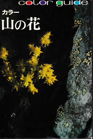 山の花 : カラー