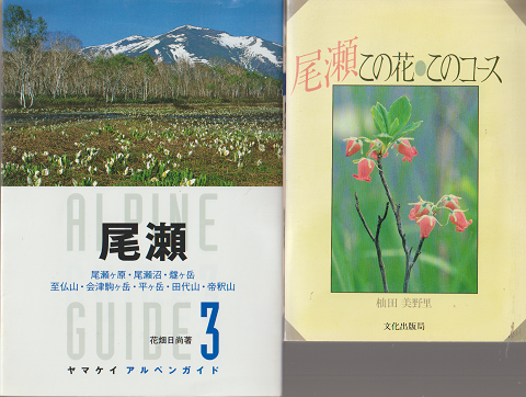 『尾瀬この花・このコース』『ヤマケイアルペンガイド 尾瀬』2冊セット