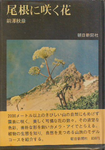 尾根に咲く花 : 2000メートルの高山植物