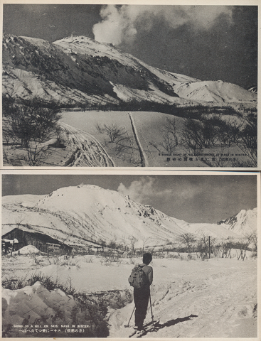 CARTE POSTALE 冬の那須
