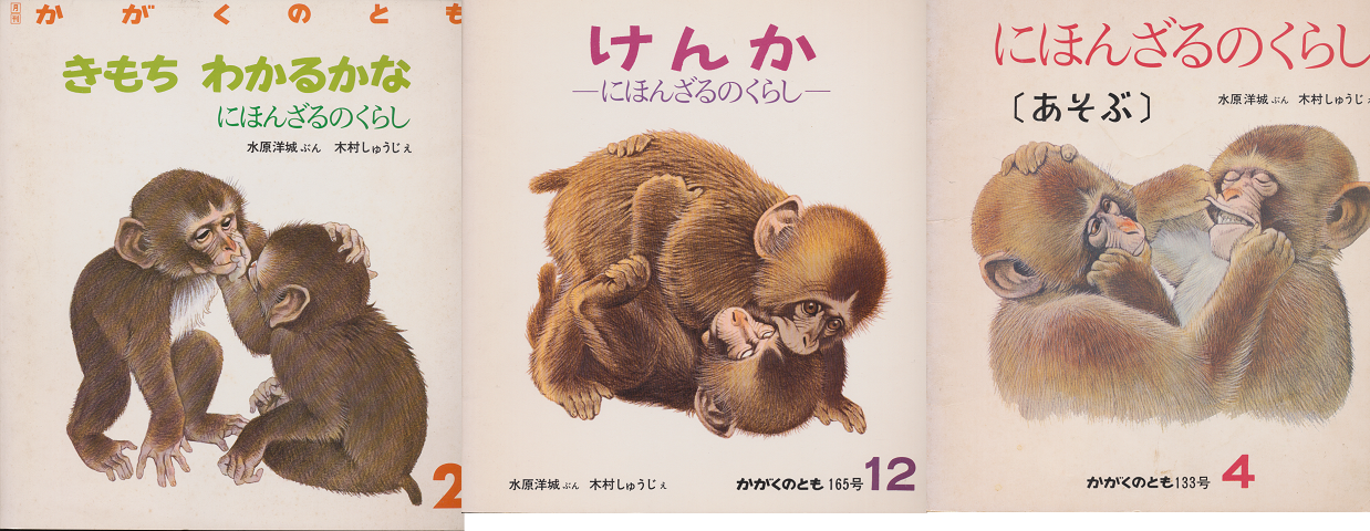 かがくのとも にほんざるのくらし「きもちわかるかな」「けんか」「あそぶ」3冊セット