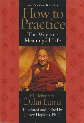 How to Practice The Way to a Meaning Life
