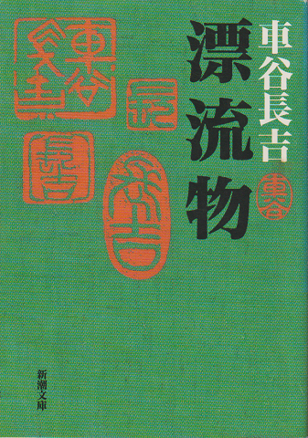 漂流物